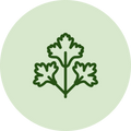 Parsley